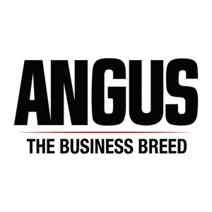 American Angus Association
